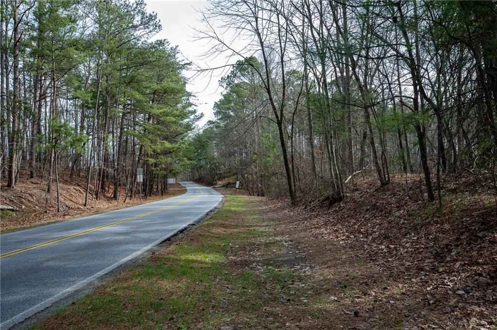00 Red Top Mountain Road, Cartersville, Georgia image 10
