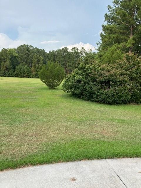 1293 Pine Ridge Drive