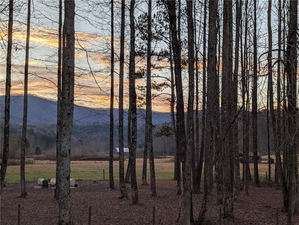 Ellijay, Georgia, 30540, United States, 4 Bedrooms Bedrooms, ,3 BathroomsBathrooms,Residential,Active,1968102