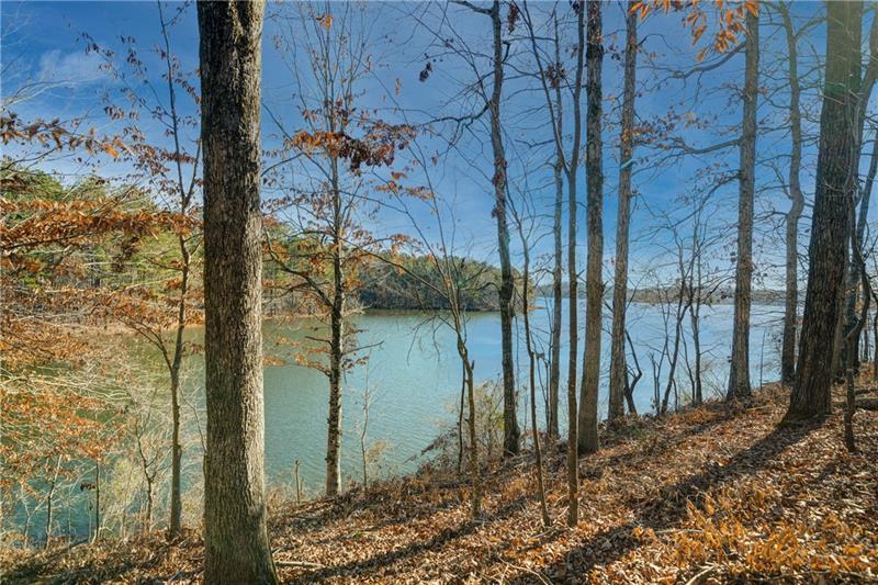691 Moccasin Gap Road