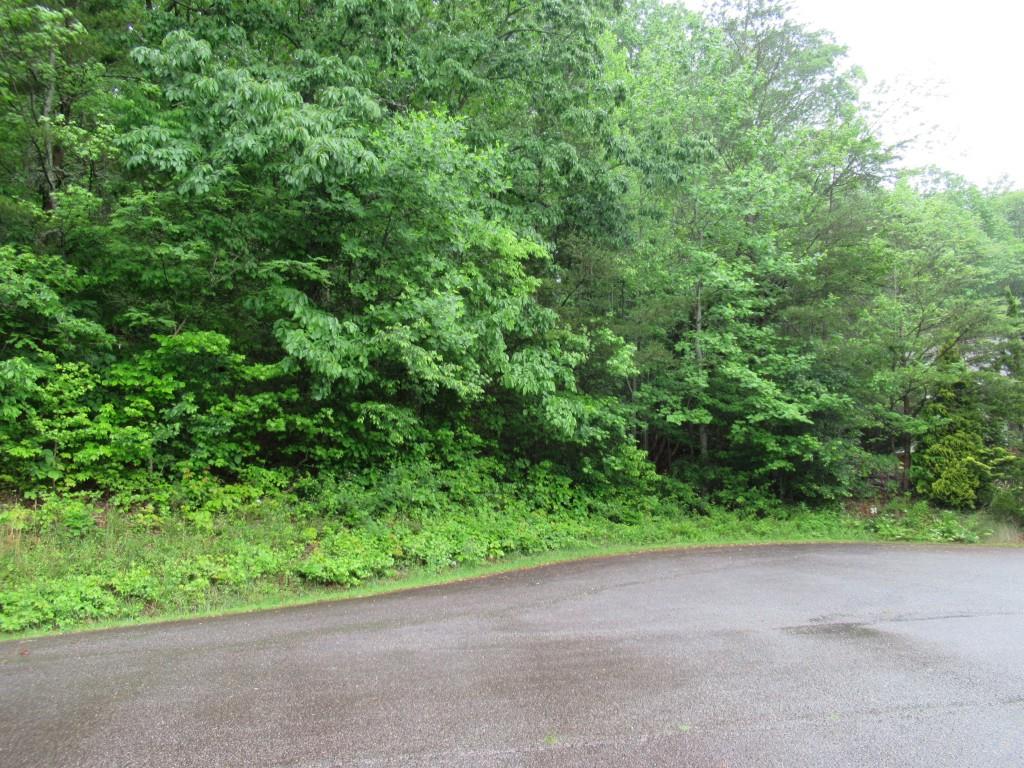 Meadow Crest Drive, Cleveland, Georgia image 11