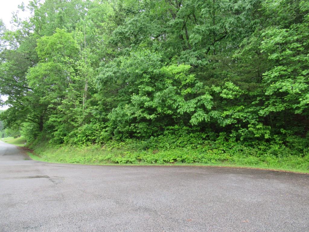 Meadow Crest Drive, Cleveland, Georgia image 8