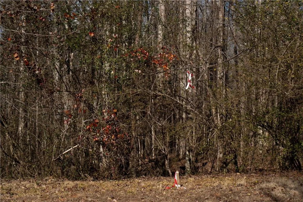 Lula, Georgia 30554, United States, ,Land,Active,23100