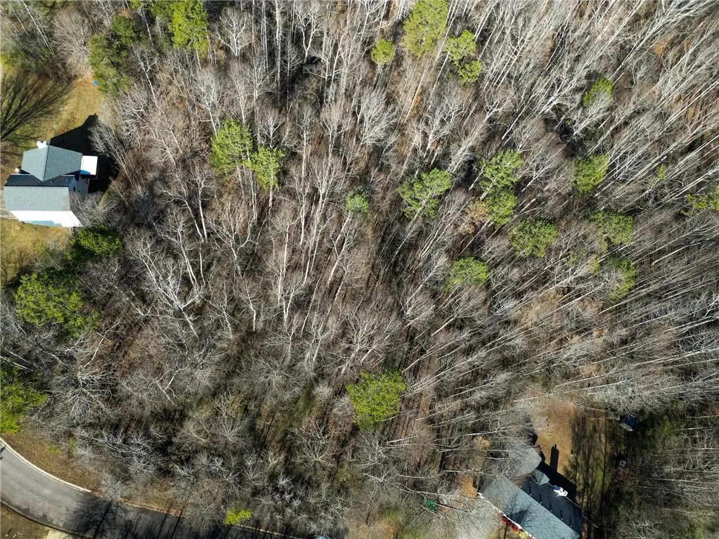 Lula, Georgia 30554, United States, ,Land,Active,23100