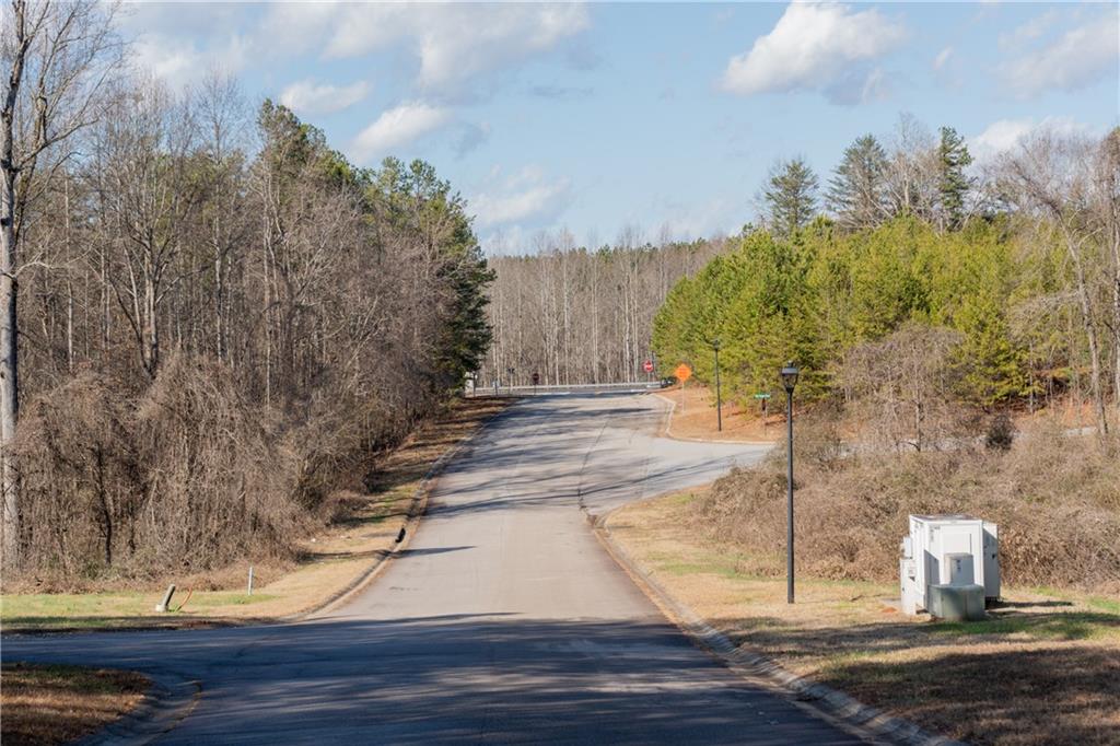 Mountain View Parkway, Lula, Georgia image 48