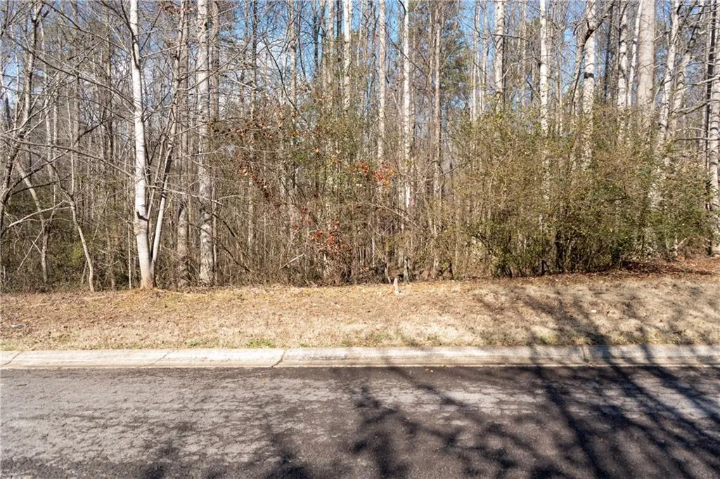 Lula, Georgia 30554, United States, ,Land,Active,23100