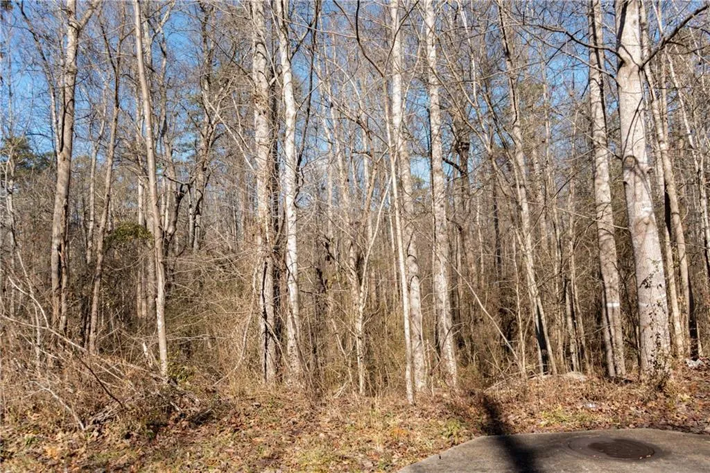 Lula, Georgia 30554, United States, ,Land,Active,23100