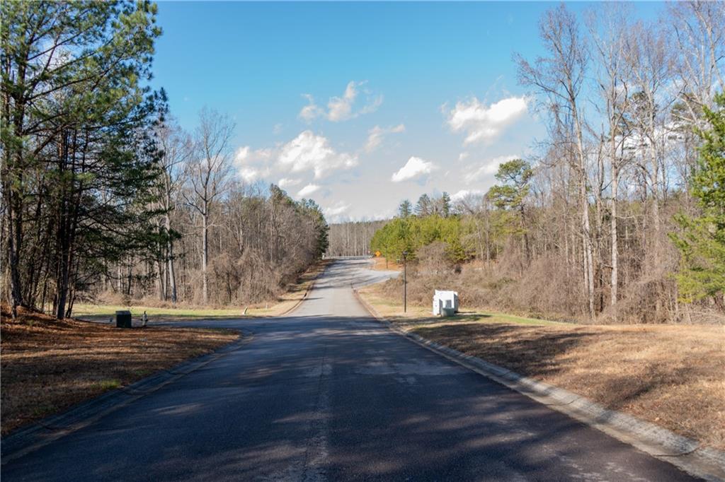 Mountain View Parkway, Lula, Georgia image 49