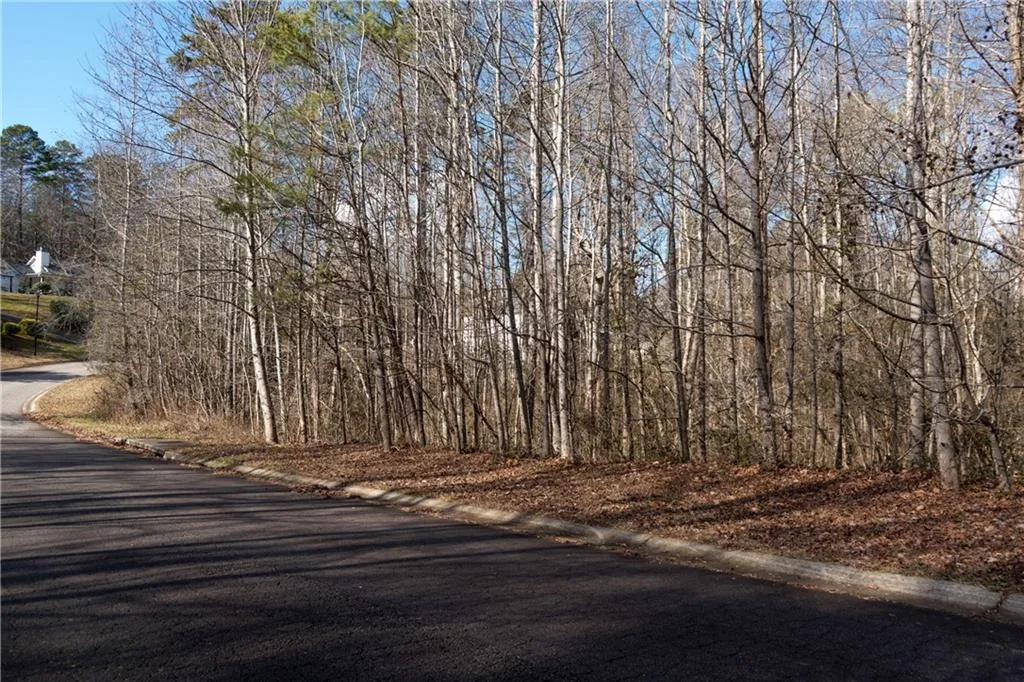 Lula, Georgia 30554, United States, ,Land,Active,23100