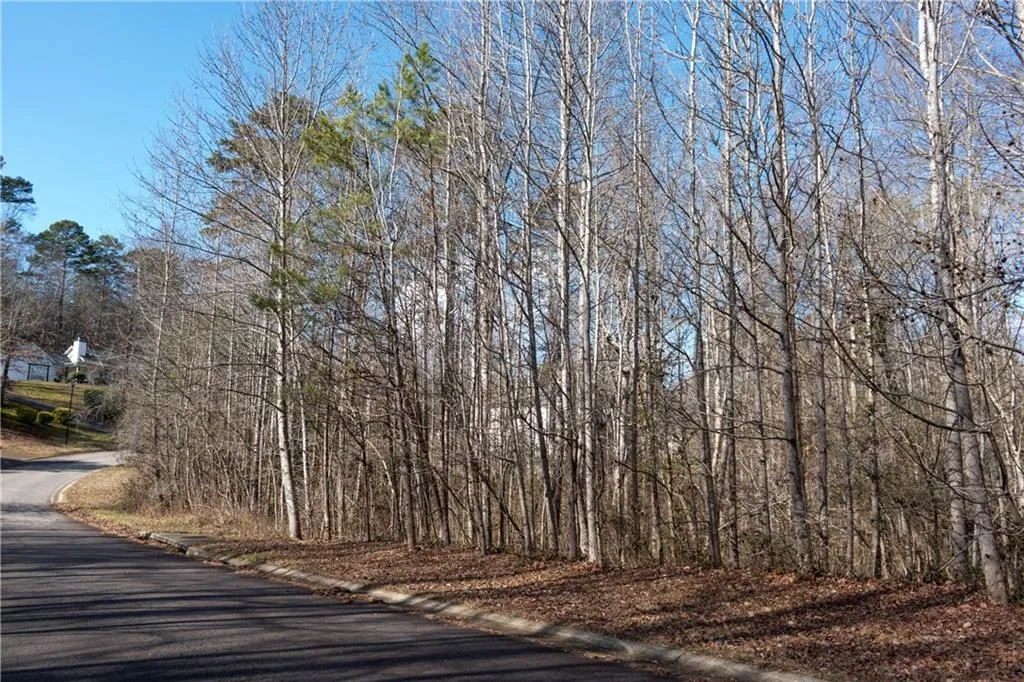 Lula, Georgia 30554, United States, ,Land,Active,23100