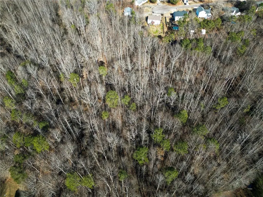 Lula, Georgia 30554, United States, ,Land,Active,23100