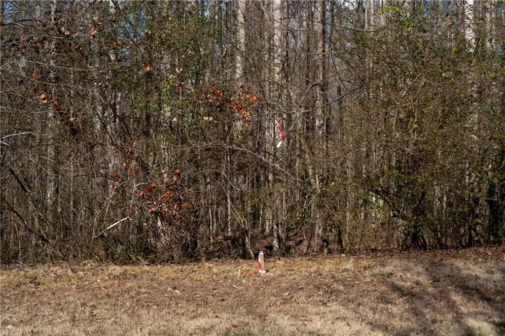 Lula, Georgia 30554, United States, ,Land,Active,23100