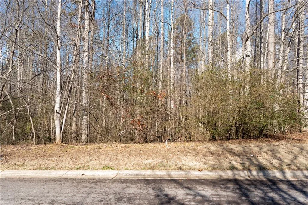 Lula, Georgia 30554, United States, ,Land,Active,23100