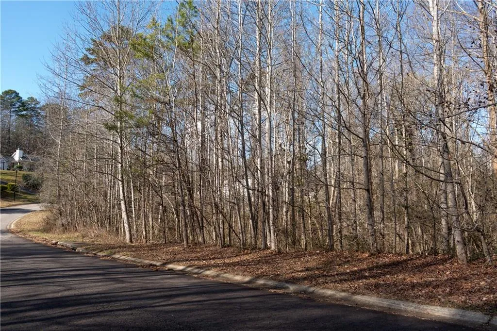 Lula, Georgia 30554, United States, ,Land,Active,23100