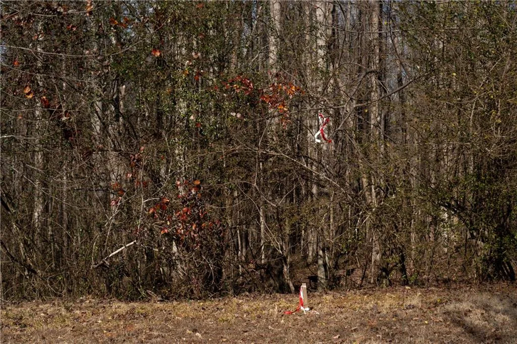 Lula, Georgia 30554, United States, ,Land,Active,23100