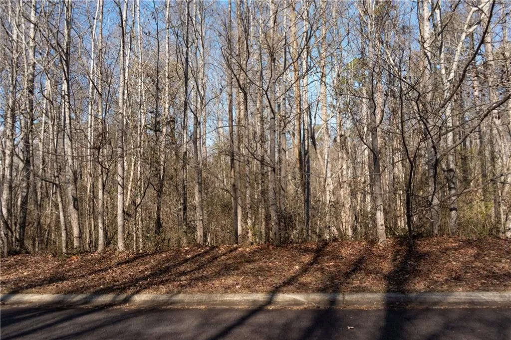 Lula, Georgia 30554, United States, ,Land,Active,23100