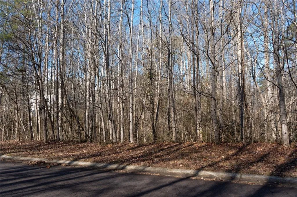 Lula, Georgia 30554, United States, ,Land,Active,23100