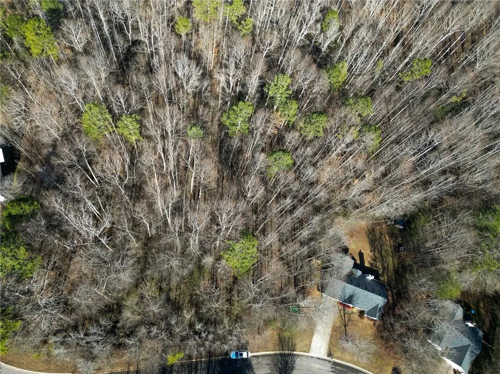 Lula, Georgia 30554, United States, ,Land,Active,23100