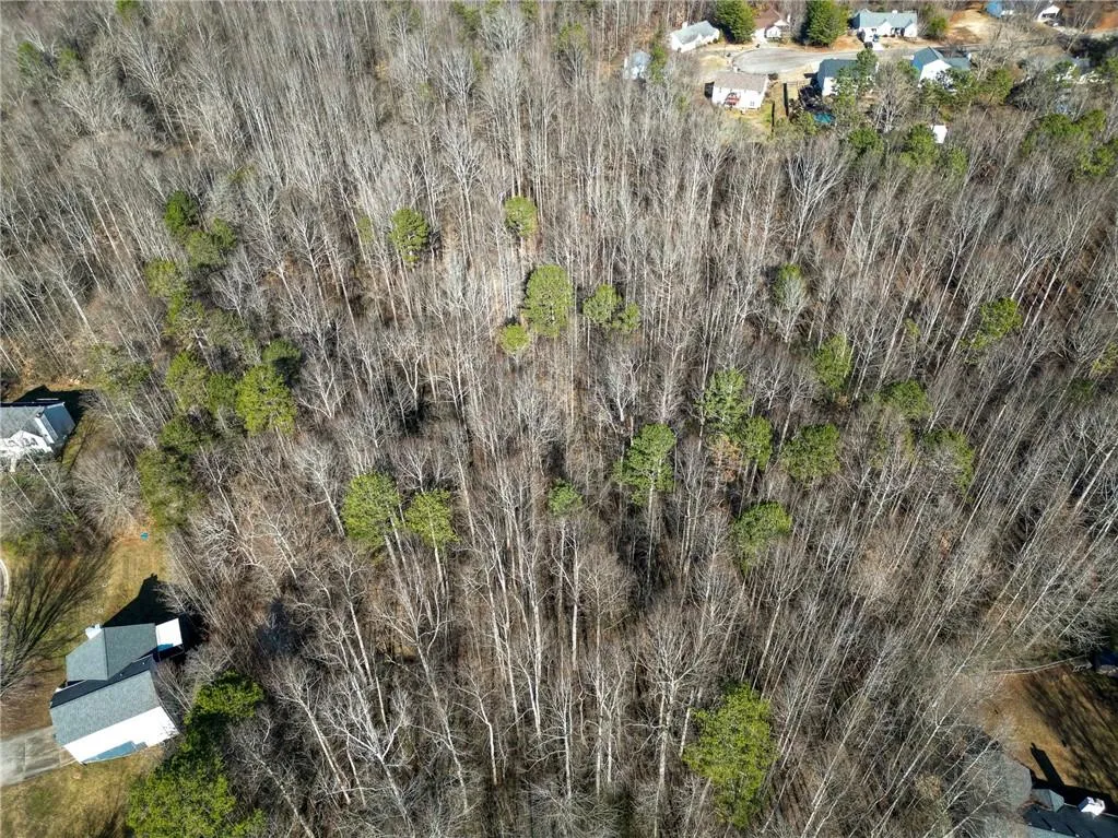 Lula, Georgia 30554, United States, ,Land,Active,23100