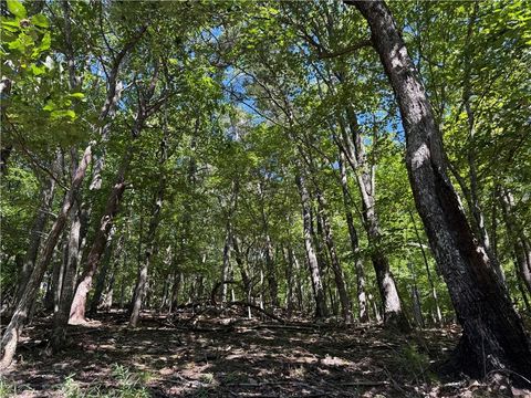 Vacant Land For Sale - Moss Patch Trail<br/> Jasper, GA 30143