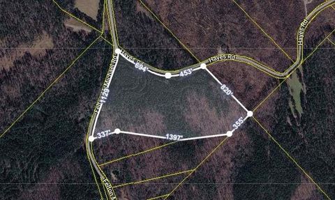 Vacant Land For Sale - Felton Mcmichael Rd & Hayes - Landlot 090 Road<br/> Monticello, GA 31064