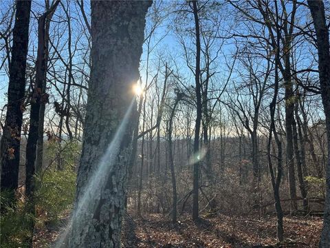 1171 Hunter Drive Ranger GA 30734