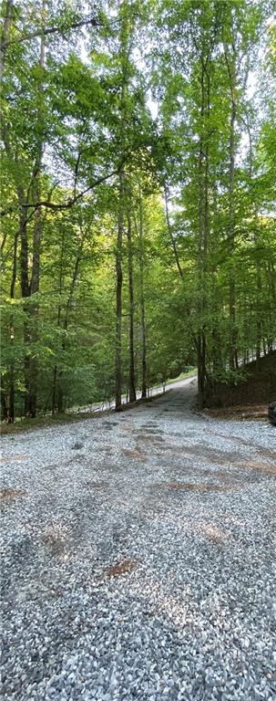 91 Chestatee Drive, Dahlonega, Georgia image 6