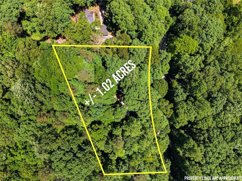 91 Chestatee Drive, Dahlonega, Georgia image 25