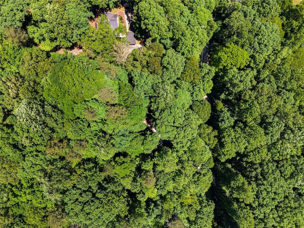 91 Chestatee Drive, Dahlonega, Georgia image 27