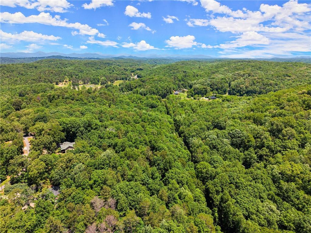91 Chestatee Drive, Dahlonega, Georgia image 26