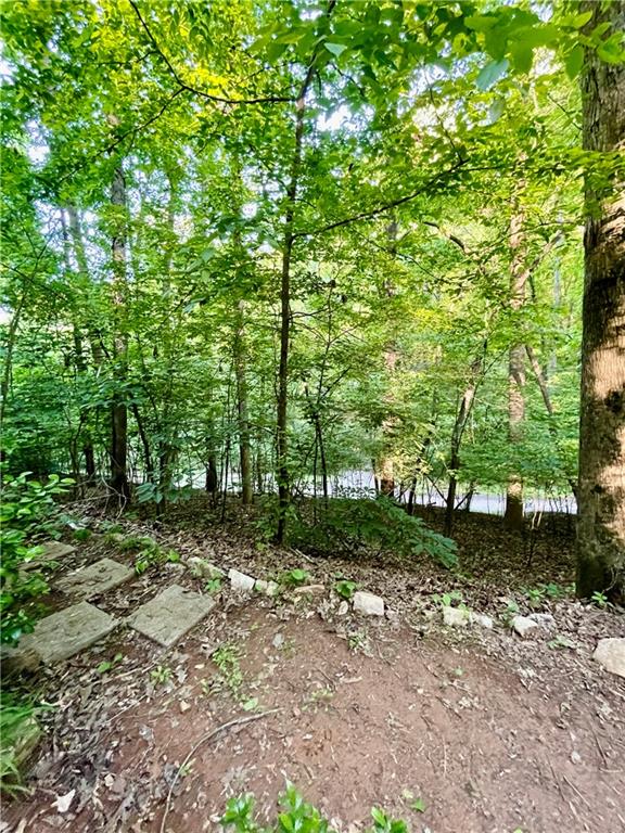 91 Chestatee Drive, Dahlonega, Georgia image 5