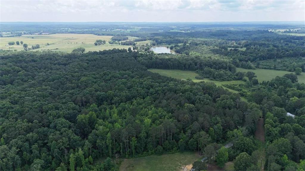 Dunn Road, Cedartown, Georgia image 4