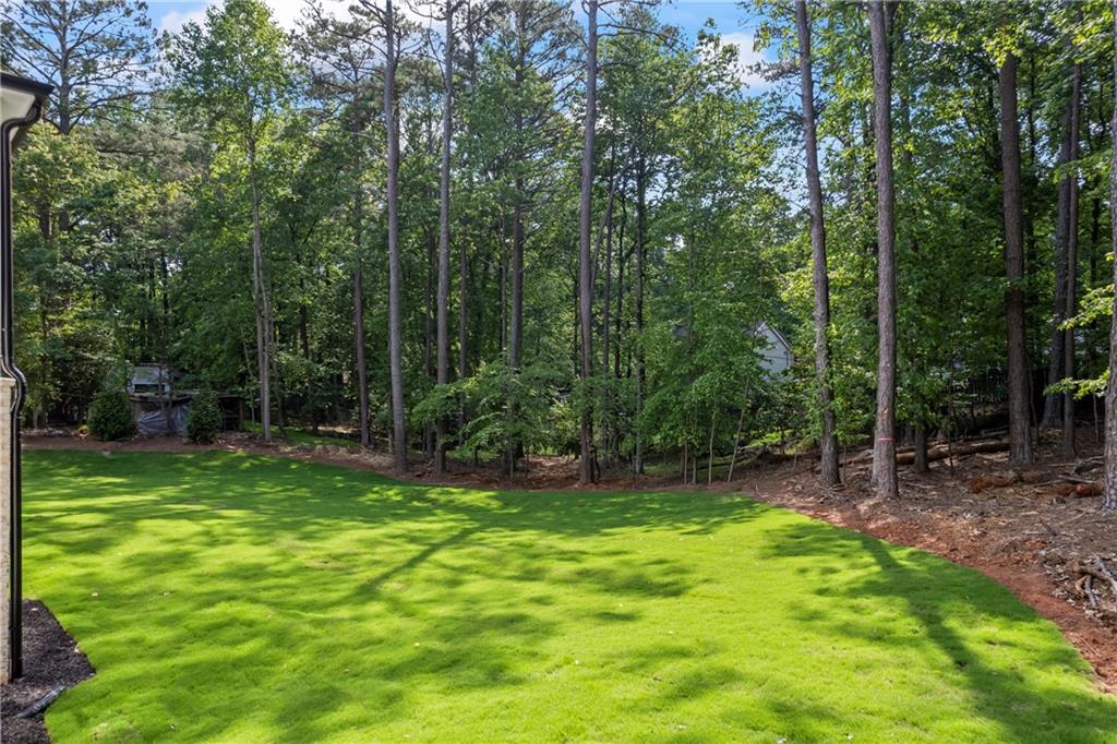 10350 Alvin Road, Johns Creek, Georgia image 13