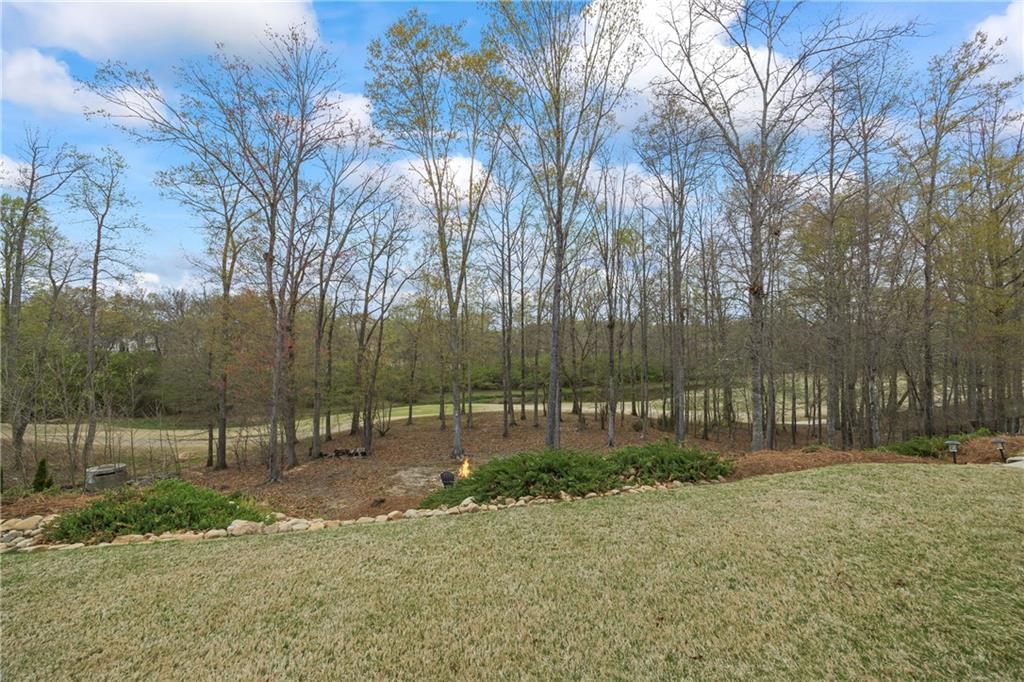 6005 Ash Hill Place, Hoschton, Georgia image 41