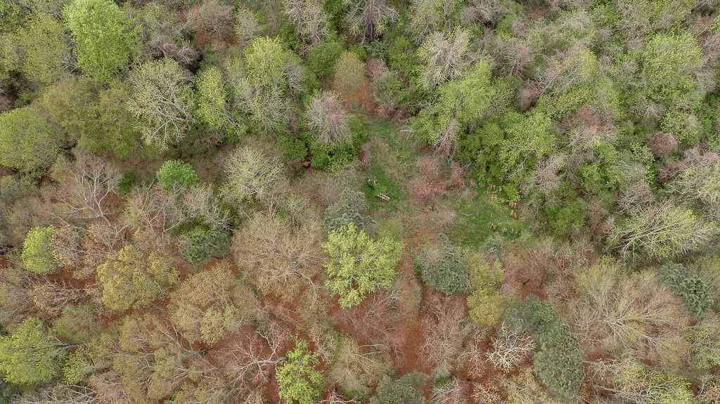 Jefferson, Georgia 30549, United States, ,Land,Pending,74963