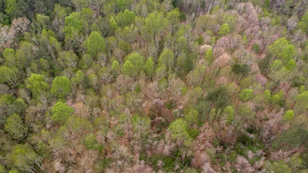 Jefferson, Georgia 30549, United States, ,Land,Pending,74963