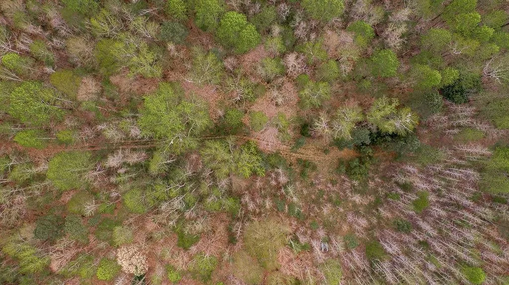 Jefferson, Georgia 30549, United States, ,Land,Pending,74963