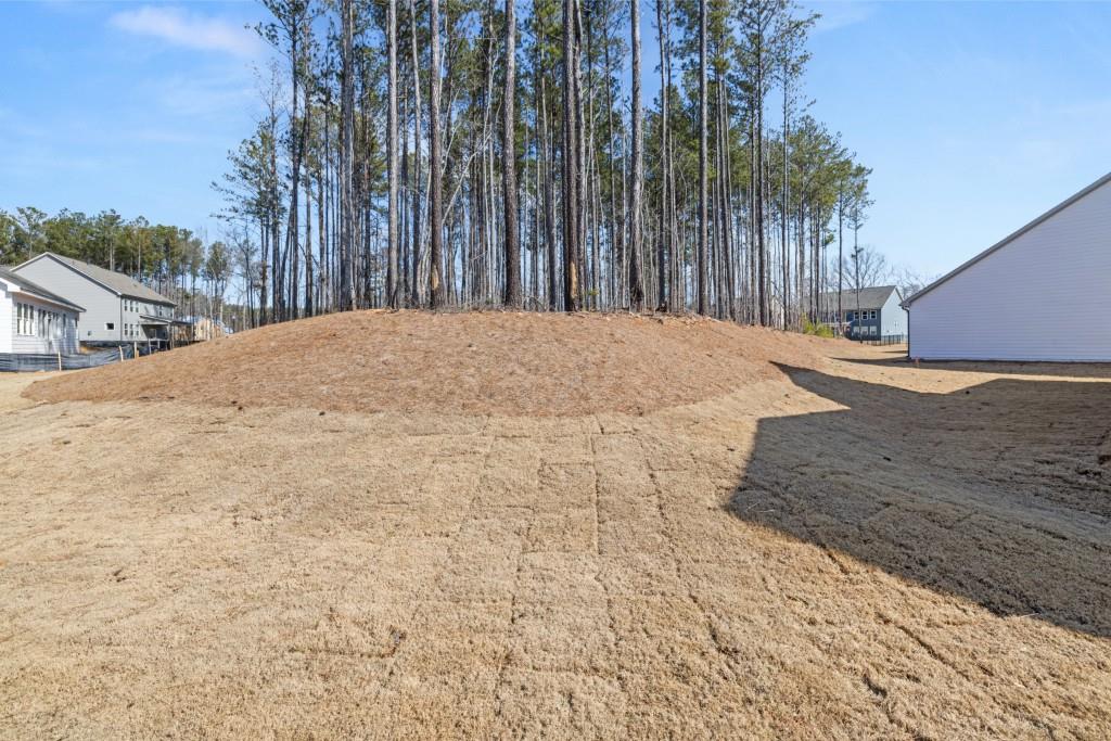 30 Foothills Trail, Sharpsburg, Georgia image 2