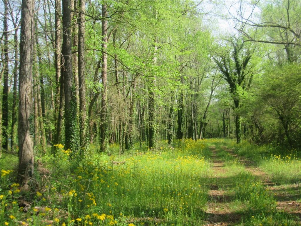 155 Hughes Dairy Road, Lindale, Georgia image 12