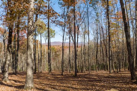 Vacant Land For Sale - 19R Settlement Trail<br/> Ellijay, GA 30536