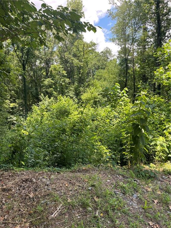 Located in cul de sac of quiet community with excellent location. Nice homes on street. Build your home. New home built on same street. NO HOA! Excellent River Ridge High School district. Just minutes to downtown Woodstock. Convenient to access to I-575, Roswell & Alpharetta! Shopping nearby, fitness centers, restaurants, parks and walking trails are just around the corner- close by!