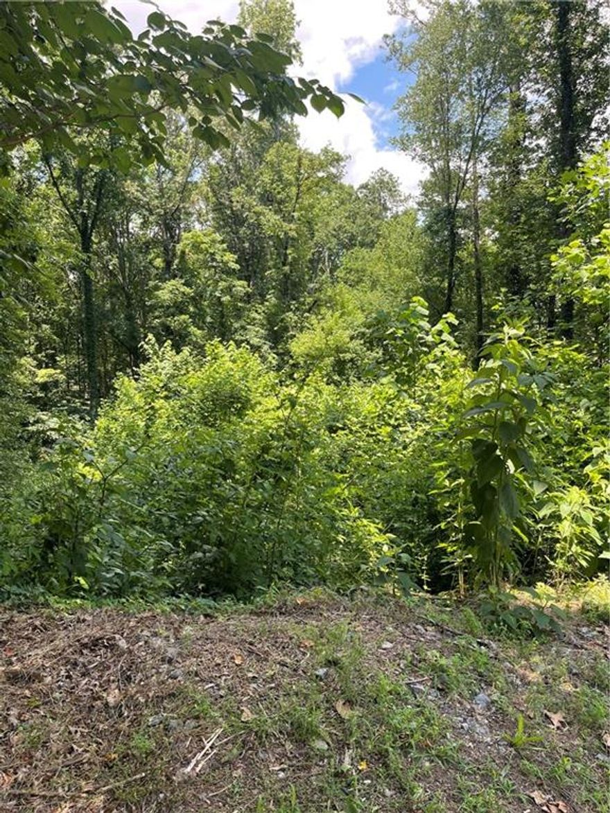 Located in cul de sac of quiet community with excellent location. Nice homes on street. Build your home. New home built on same street.  NO HOA!  Excellent River Ridge High School district. Just minutes to downtown Woodstock. Convenient to access to I-575, Roswell & Alpharetta! Shopping nearby, fitness centers, restaurants, parks and walking trails are just around the corner- close by!