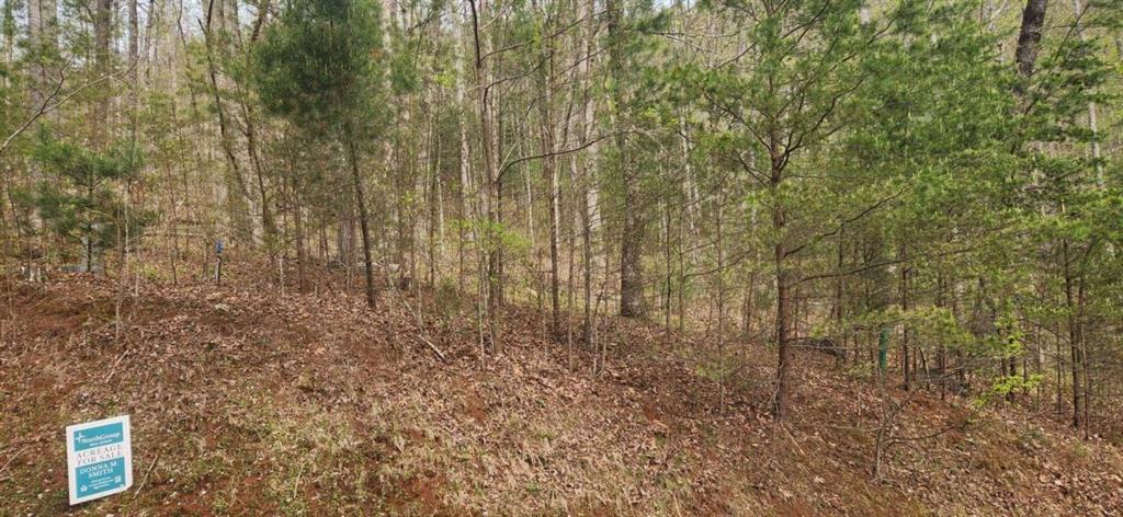 0 Yellow Trillium (Lot 13)