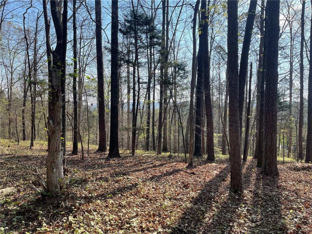Lot 12 CHALCREST Way