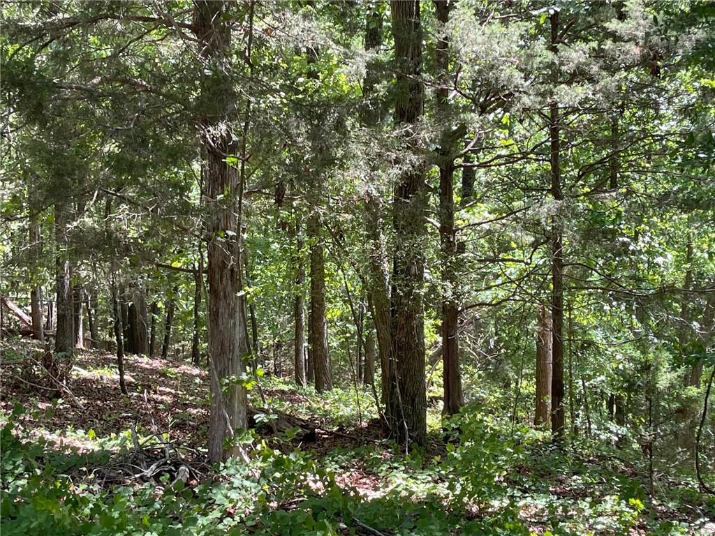 Lot 12 CHALCREST Way