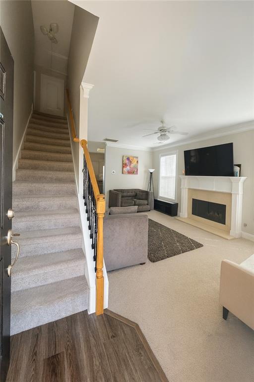 2061 Wildcat Cliffs Lane