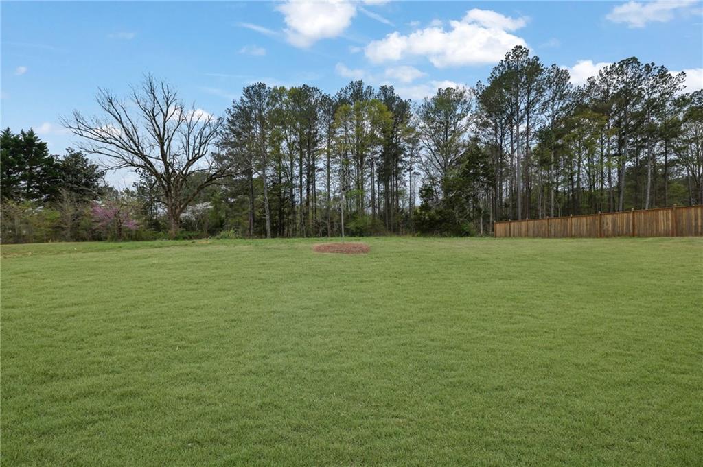 35 Boxwood Drive, Monroe, Georgia image 37