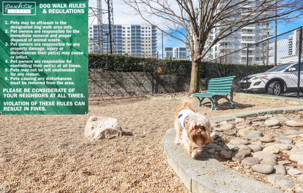 PEACHTREE LOFTS - Residential