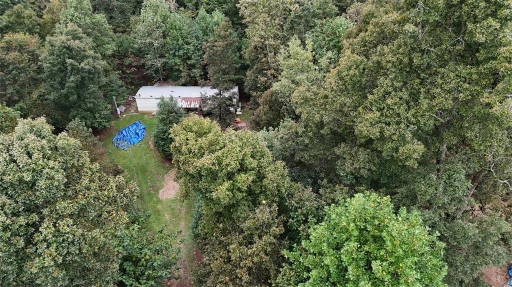 808 Rock Forge Road