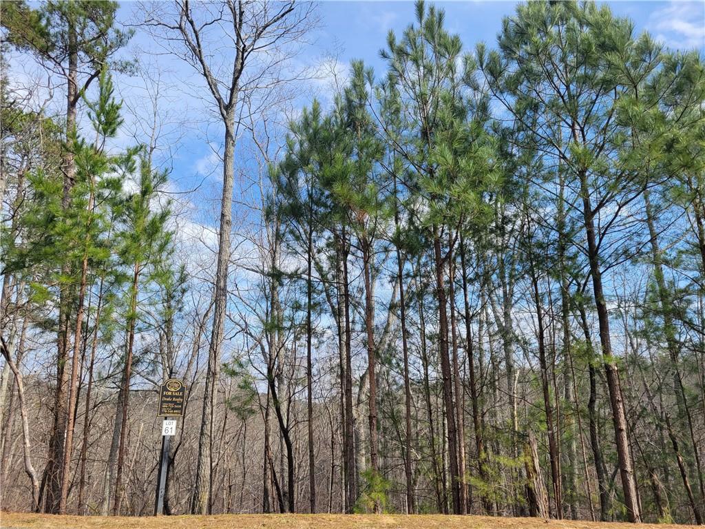 WALK to the lake from your back yard. If you would rather drive its only one minute to the boat launch! Lot 61 in the Village at Waterside sits right inside the gate and backs up to the Corp property so you will never have a neighbor behind you! The lot slopes steep downward so you will have a basement and subwall and a zero maintenance back yard. Seasonal MTN views and lots of nature surround you. The community has an open air pavilion and green space since most yards are small. Pool, private gated streets and 24 hr video surveillance. The HOA dues are only $600 for the year w/ no time frame to build once the lot is purchased. Secure your home site now!
